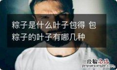 粽子是什么叶子包得 包粽子的叶子有哪几种