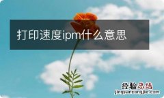 打印速度ipm什么意思