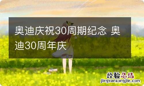 奥迪庆祝30周期纪念 奥迪30周年庆