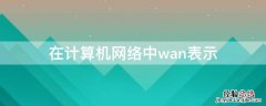 计算机网络中wan指的是什么 在计算机网络中wan表示