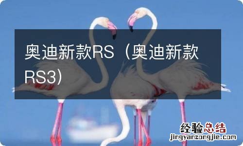 奥迪新款RS3 奥迪新款RS