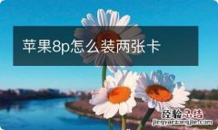 苹果8p怎么装两张卡