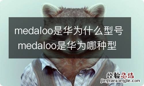 medaloo是华为什么型号 medaloo是华为哪种型号