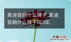 奥迪音响什么牌子 奥迪音响什么牌子BOSE