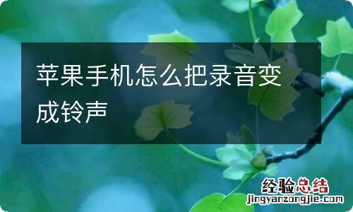 苹果手机怎么把录音变成铃声