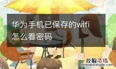 华为手机已保存的wifi怎么看密码