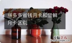 拼多多省钱月卡和尝鲜月卡区别