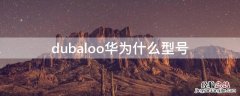 duaaloo华为什么型号 dubaloo华为什么型号