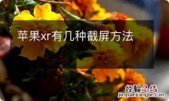 苹果xr有几种截屏方法