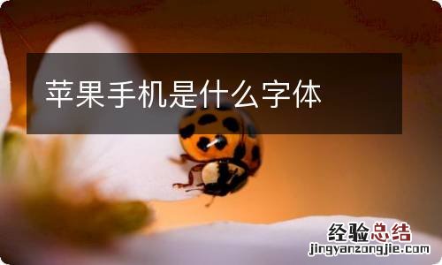 苹果手机是什么字体