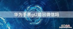 华为手表watch gt2能回微信吗 华为手表gt2能回微信吗