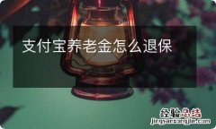 支付宝养老金怎么退保