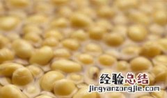 黄豆泡多久 黄豆泡多久可以炖猪蹄