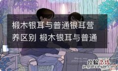 椴木银耳与普通银耳营养区别 椴木银耳与普通银耳有什么不同