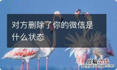 对方删除了你的微信是什么状态