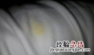 芒果沾到了衣服上怎么办? 芒果沾在衣服上最佳洗涤方法是什么