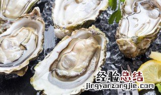 清洗生蚝的方法 清洗生蚝最简单方法