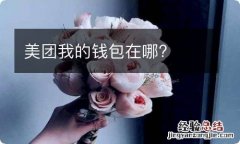 美团我的钱包在哪?