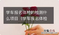 学车报名体检的检测什么项目最好 学车报名体检的检测什么项目