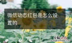 微信动态红包是怎么设置的