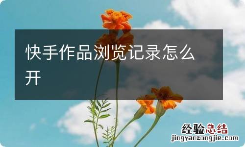 快手作品浏览记录怎么开