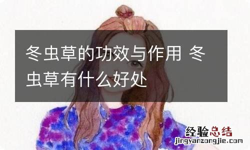 冬虫草的功效与作用 冬虫草有什么好处