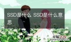 SSD是什么 SSD是什么意思