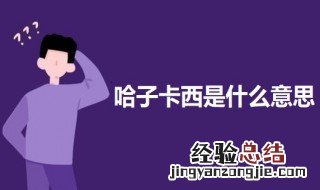 斯卡哈是什么意思 哈子卡西是什么意思