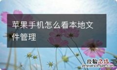 苹果手机怎么看本地文件管理