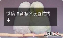 微信语音怎么设置忙线中