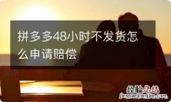 拼多多48小时不发货怎么申请赔偿