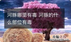 河豚哪里有毒 河豚的什么部位有毒