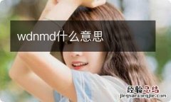 wdnmd什么意思