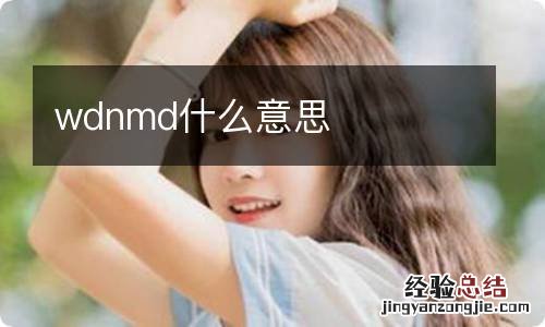 wdnmd什么意思