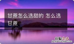 甘蔗怎么选甜的 怎么选甘蔗