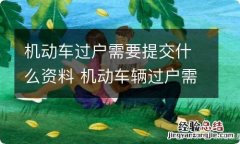 机动车过户需要提交什么资料 机动车辆过户需要什么资料