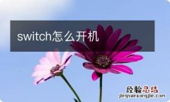 switch怎么开机