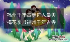 福州千年古寺迎最美梅花季 福州千年古寺进入最美梅花季