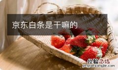 京东白条是干嘛的