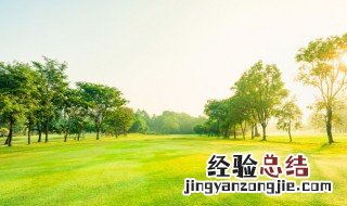 梦见风景怎么回事 梦见看风景是什么意思