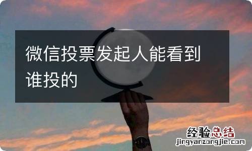 微信投票发起人能看到谁投的