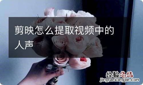 剪映怎么提取视频中的人声