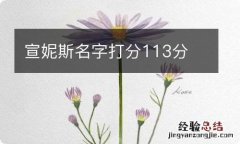 宣妮斯名字打分113分