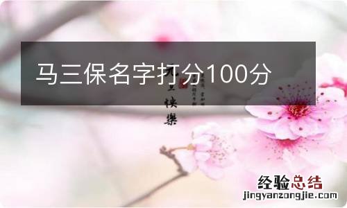 马三保名字打分100分