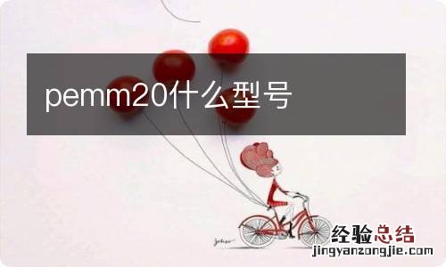 pemm20什么型号
