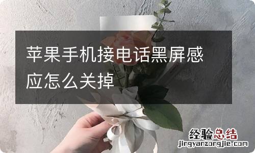 苹果手机接电话黑屏感应怎么关掉