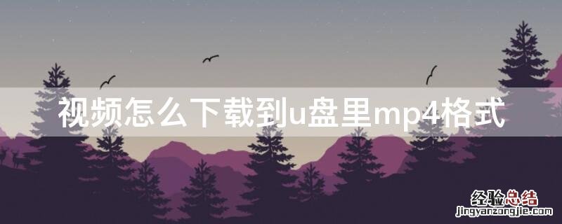 视频怎么下载到u盘里mp4格式 视频如何下载到u盘上mp4格式