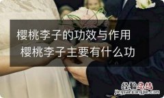 樱桃李子的功效与作用 樱桃李子主要有什么功效