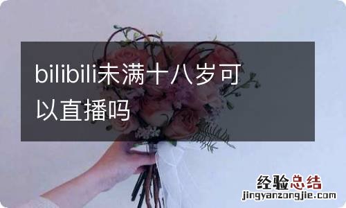 bilibili未满十八岁可以直播吗