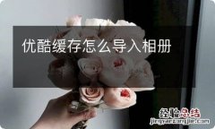 优酷缓存怎么导入相册